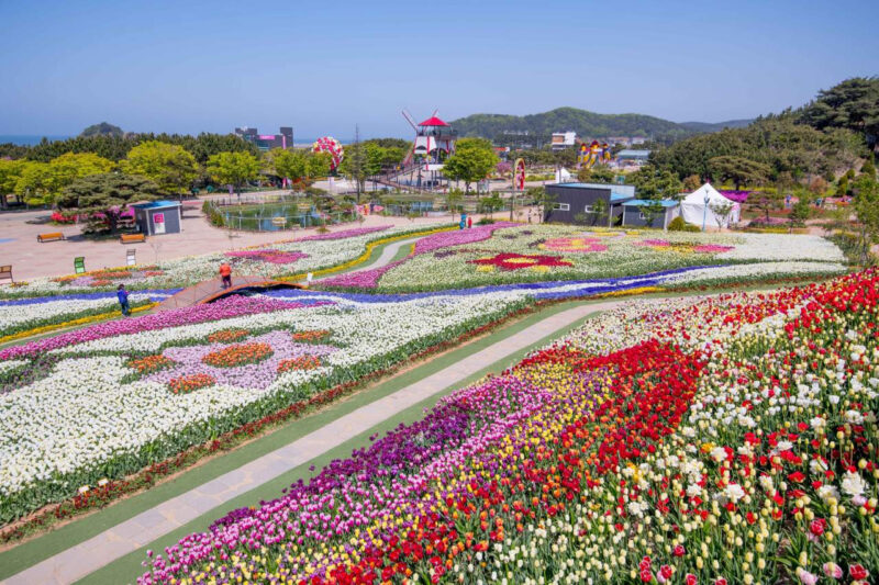 "補正1もしませんでした"4月に行くべきおすすめスポットリスト