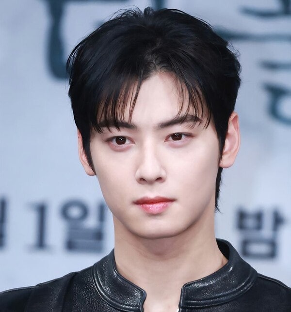 チャ・ウヌ、約14億円の追徴税を全額納付し税金論争終結