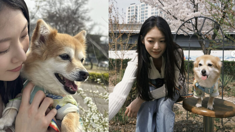 공승연, 반려견 땅콩이와 봄 산책… “이게 힐링이지”