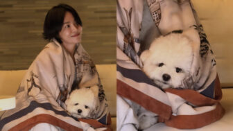 ソン・ヘギョ（44）、愛犬を抱いて満面の笑み…日常がまるでグラビア