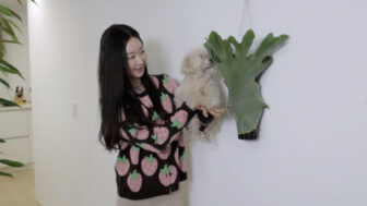 キム・サラン（48）、自宅公開！緑あふれる癒やしの空間に「愛する植物たちを紹介します」