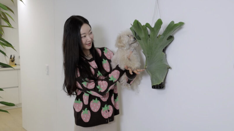 キム・サラン(48)、自宅公開!緑あふれる癒やしの空間に「愛する植物たちを紹介します」