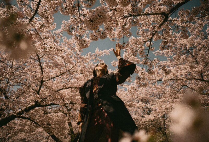 "1,000만 원짜리 카메라 필요 없습니다" 동호회에서 작가 소리 든는 벚꽃 사진 꿀팁