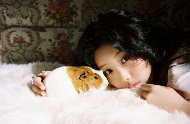 モルモットに会ったウォンヒ、アヒルと遊ぶデミョン...アイレット、再び可愛くなった