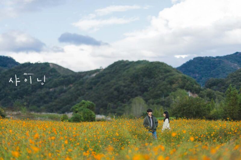 キャストは実に豪華なのに、結局「0％台」…視聴率の急落で危機に直面したJTBCドラマ