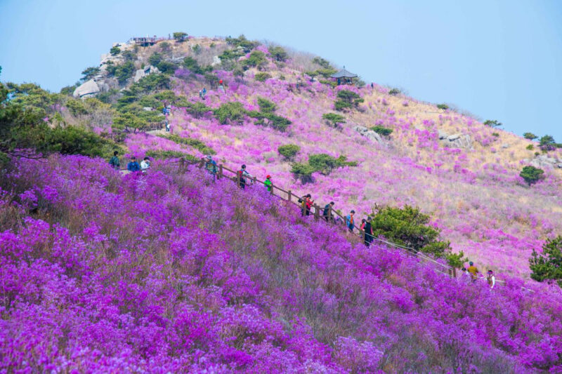 チャン・ユンジョン、チョ・ソンモ、NORAZOら豪華集結!30万坪で楽しむ30周年記念フェス開催