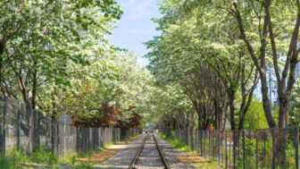 桜を見逃した？むしろ好都合。線路を彩る「5月の雪」が絶景すぎる