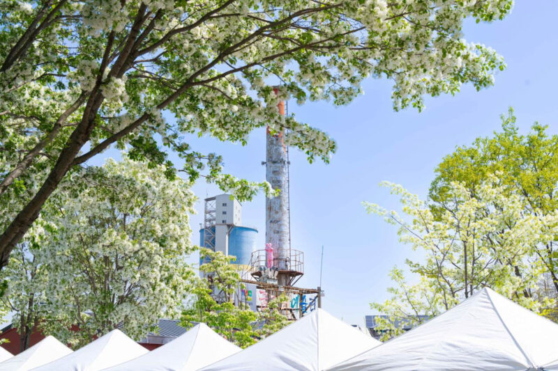 桜を見逃した？むしろ好都合。線路を彩る「5月の雪」が絶景すぎる