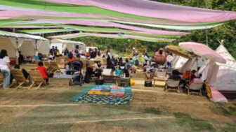 「花見にお金は不要」入場料0円で楽しむ“ソウル版ピンクのアルプス”