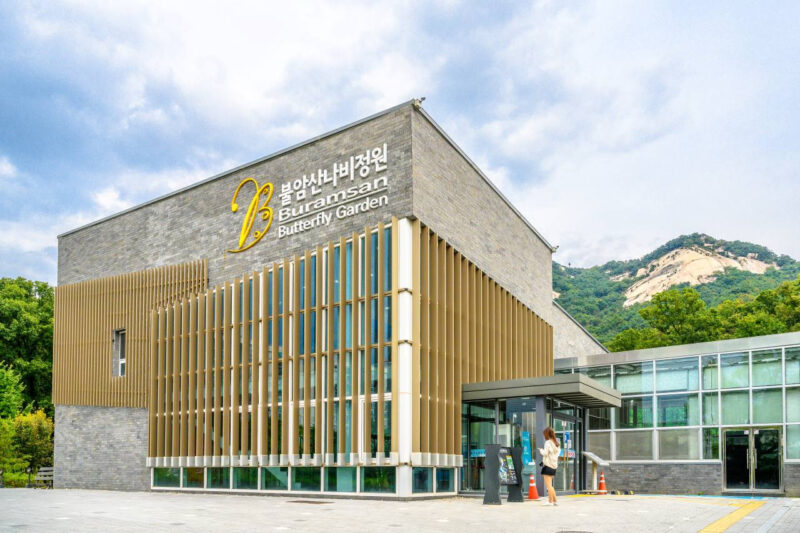 「花見にお金は不要」入場料0円で楽しむ“ソウル版ピンクのアルプス”