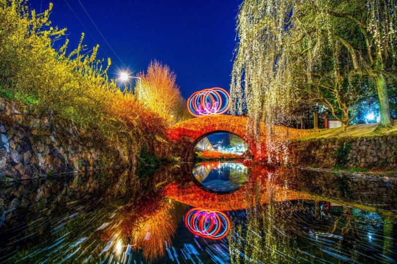 「万年崩れない石橋」と桜・レンギョウの絶景 無料で楽しめる春の穴場スポット