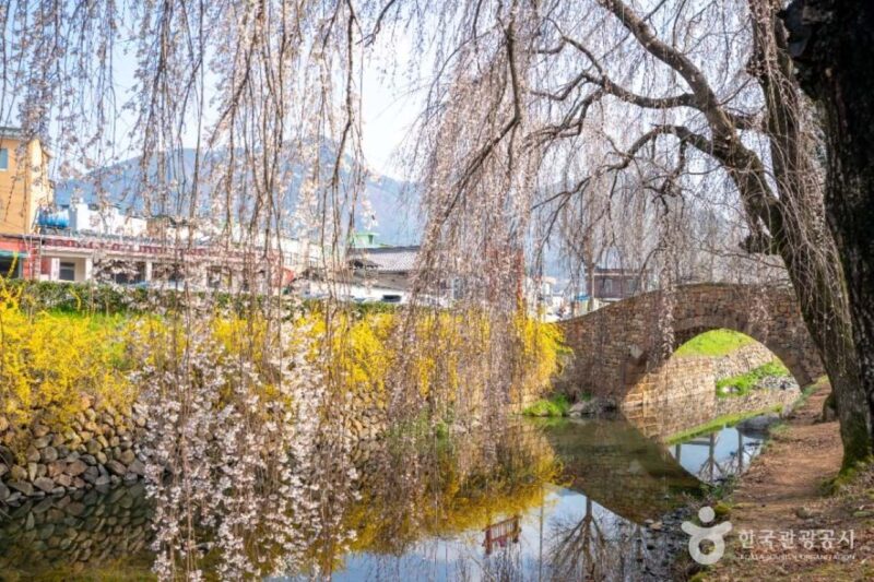 「万年崩れない石橋」と桜・レンギョウの絶景 無料で楽しめる春の穴場スポット