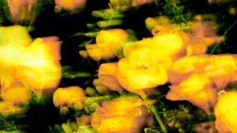 ドンヘ×パク・ジェボム、夢のコラボ実現！新曲「Good Day」先行公開へ