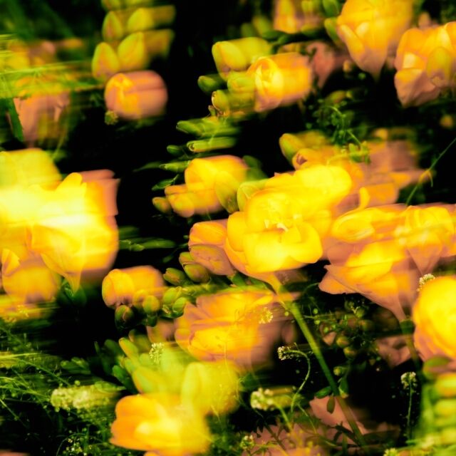 ドンヘ×パク・ジェボム、夢のコラボ実現！新曲「Good Day」先行公開へ