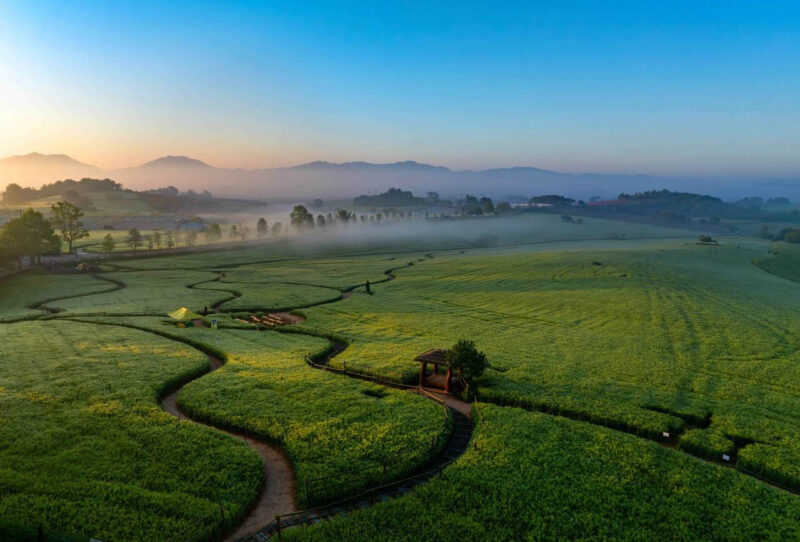 5月の大型連休、飛び石連休を賢く活用！