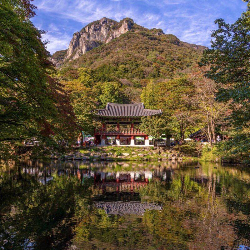 「5月を過ぎると暑くて無理」今行くべき！4月のおすすめトレッキングコース