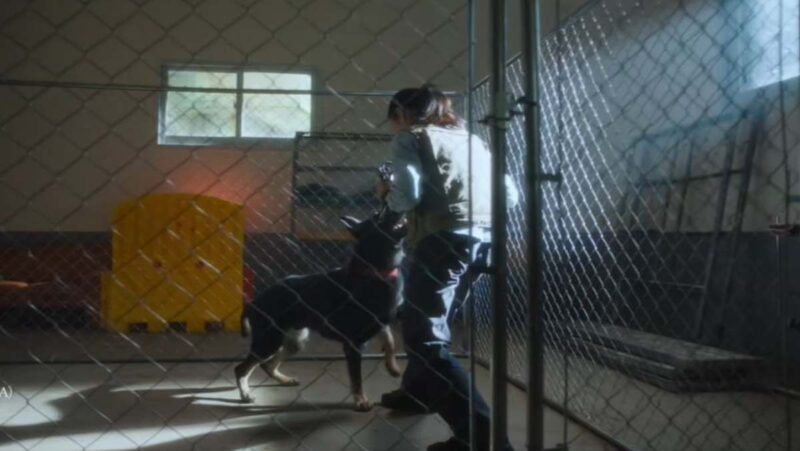 予告編だけで「戦慄」…早くも今年最高との呼び声高いスリラー映画に絶賛の嵐