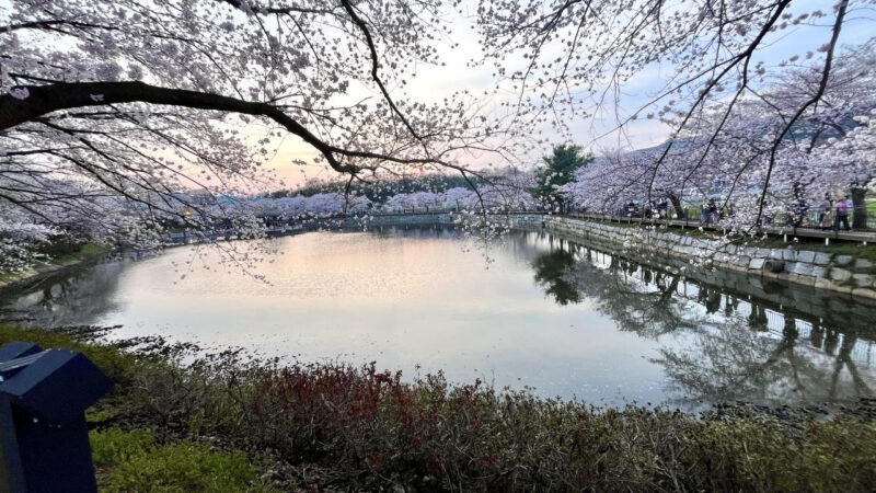 200年前の驚異の科学!「燕巌」朴趾源が天才と称えられる理由とは?