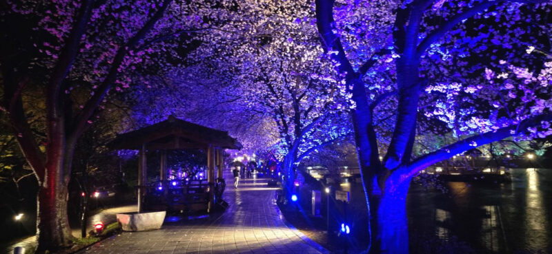 200年前の驚異の科学!「燕巌」朴趾源が天才と称えられる理由とは?