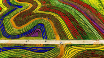 世界が認める「5大沿岸湿地」とは？