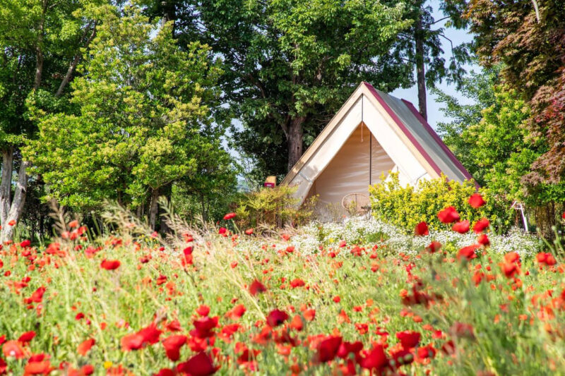 世界が認める「5大沿岸湿地」とは？