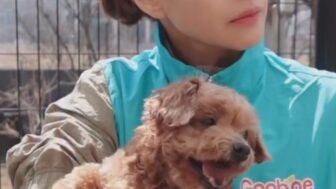 イェ・ジウォン、保護犬ボランティアの様子を公開…「小さな手が大きな愛に」温かなメッセージ
