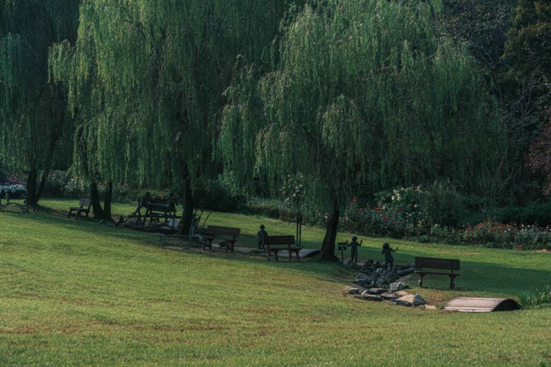 「泰安まで行かなくていい」百万本の水仙とチューリップが咲き誇る絶景散歩道