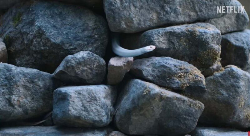 公開まであと3週間…早くも世界1位候補と話題のNetflix新作ドラマ