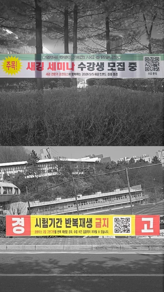 コルティス、次元の違うプロモーションが話題に