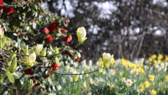 「3年連続選出も納得」絶景の西海と秘密の庭園を巡る、今行くべき植物園の魅力