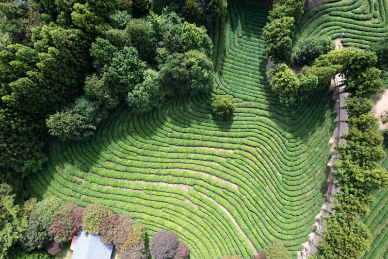 朝晩は冷え込み、日中はポカポカ。今行くべき「初夏の絶景旅行先」4選