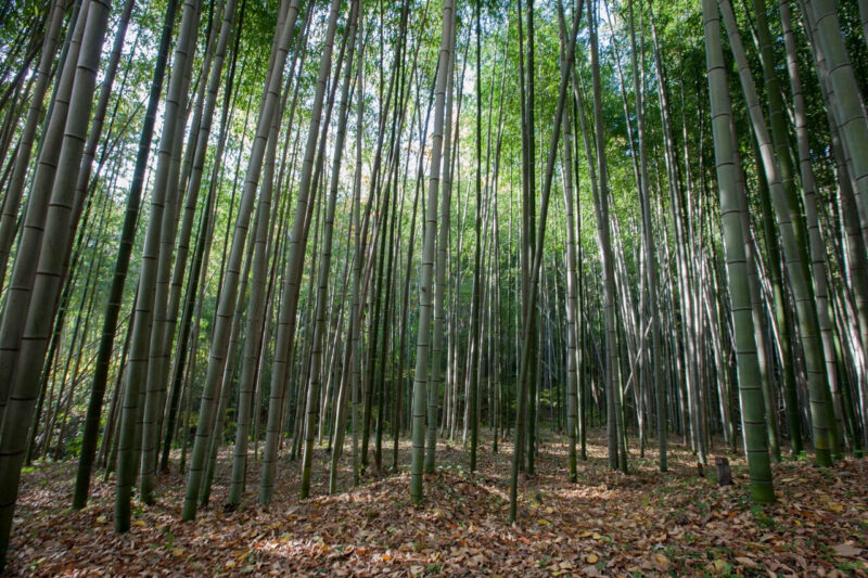 朝晩は冷え込み、日中はポカポカ。今行くべき「初夏の絶景旅行先」4選