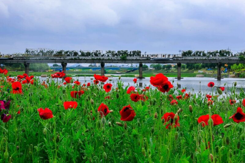 「北道とは一味違う」全羅南道、旅の魅力を徹底解剖