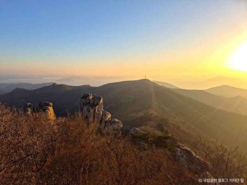 100万人が熱狂！ある島に「吸い寄せられる」驚愕の理由