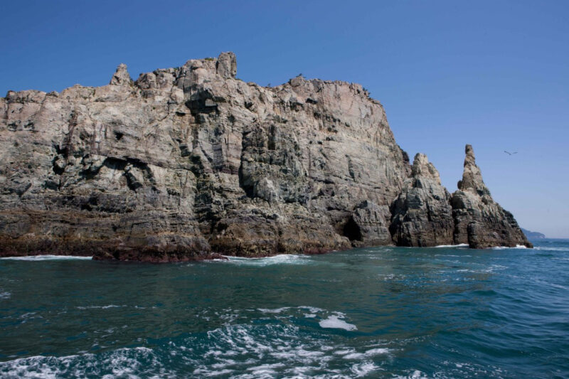 100万人が熱狂！ある島に「吸い寄せられる」驚愕の理由