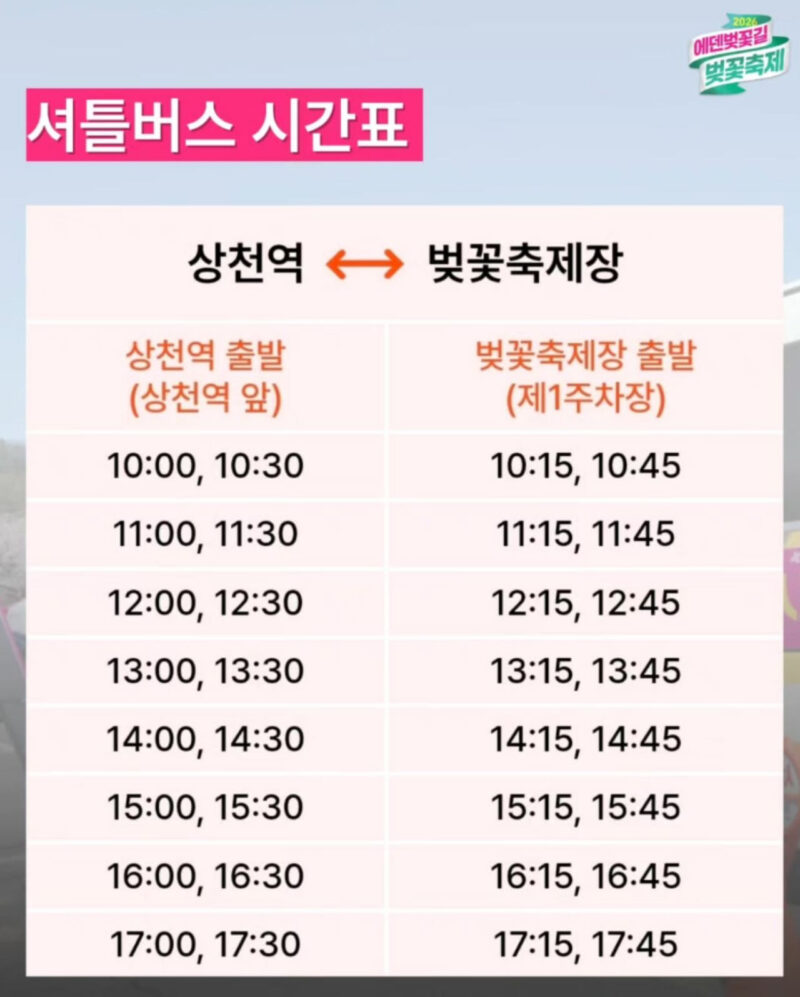 桜散る中、2kmの桜トンネル満開！