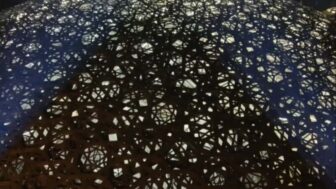 4週間で80億円突破！口コミで話題沸騰、大ヒット中の話題作