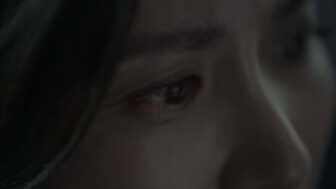 絶賛の嵐から一転…公開2週間で急失速、観客動員30万人止まりのR指定映画