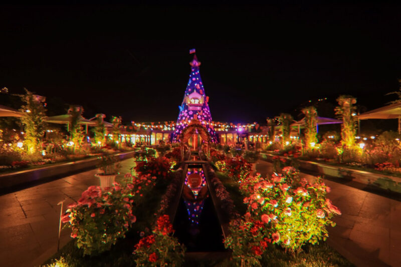 「桜が終わったからと家で過ごすのは損！」今すぐ行くべき絶景の花見スポット5選