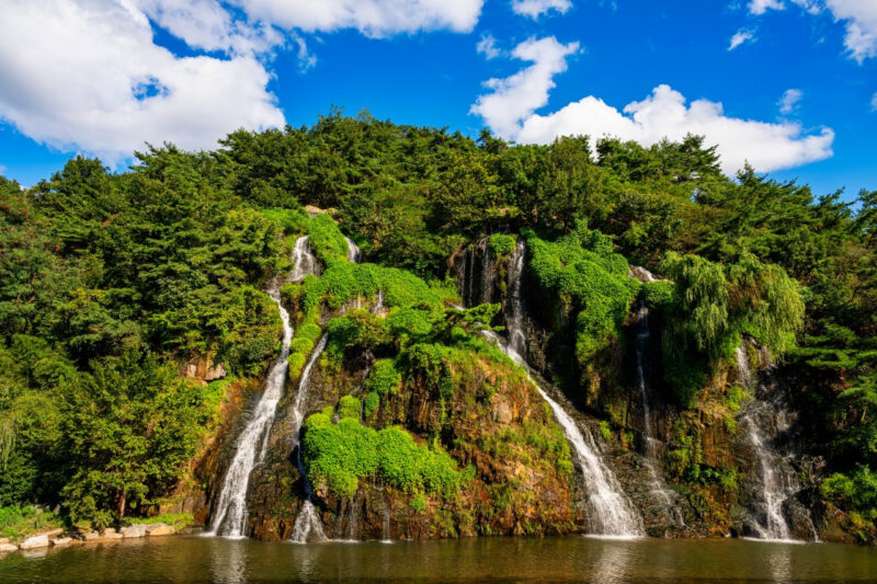 ソウルで春を独り占め！桜・チューリップ・滝まで楽しめる「教えたくない」穴場スポット