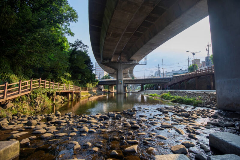 ソウルで春を独り占め！桜・チューリップ・滝まで楽しめる「教えたくない」穴場スポット