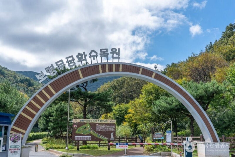 「150種のムクゲと花々が咲き誇る絶景トンネル」穴場すぎる無料スポットが話題に