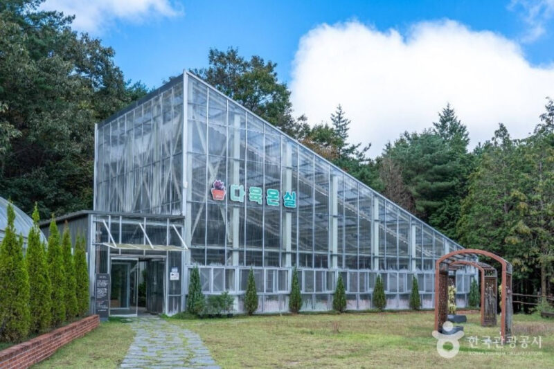 「150種のムクゲと花々が咲き誇る絶景トンネル」穴場すぎる無料スポットが話題に