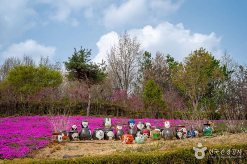 「公務員が作ったのかと…」老夫婦の執念が実らせた5万坪のピンクの奇跡