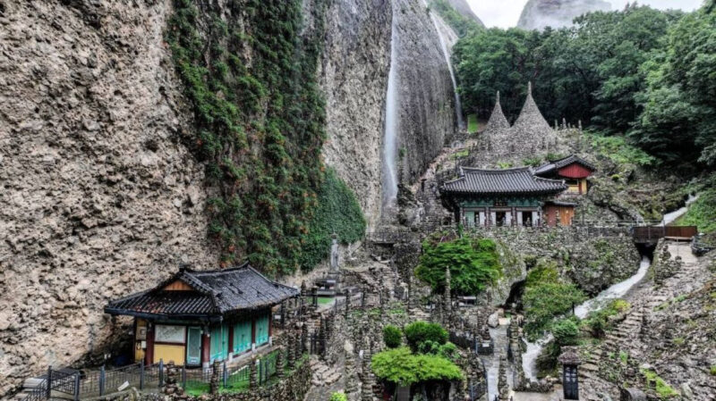 「公務員が作ったのかと…」老夫婦の執念が実らせた5万坪のピンクの奇跡