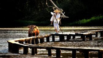 「儒教の街」の意外な素顔　初夏に訪れたい、洗練された慶尚北道の絶景スポット