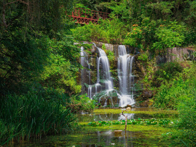 「儒教の街」の意外な素顔　初夏に訪れたい、洗練された慶尚北道の絶景スポット