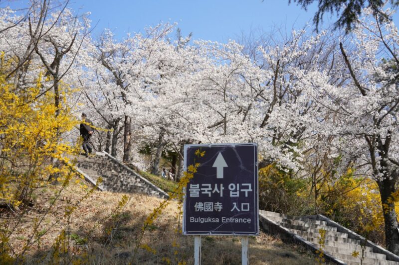 「儒教の街」の意外な素顔　初夏に訪れたい、洗練された慶尚北道の絶景スポット