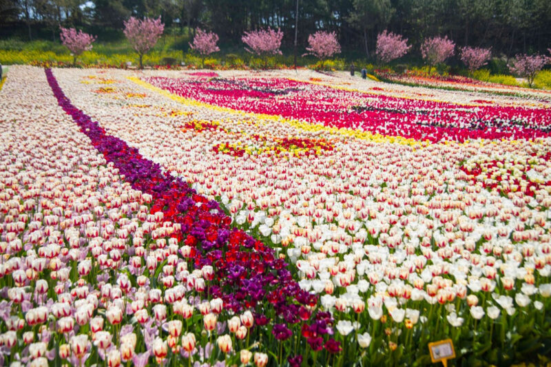 GWの穴場!5月の連休に行きたい国内旅行先5選