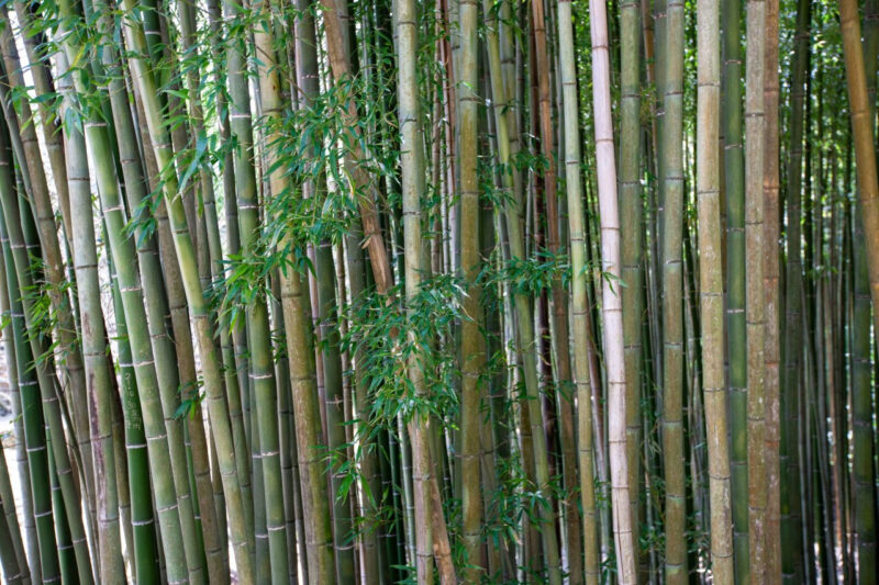 GWの穴場!5月の連休に行きたい国内旅行先5選